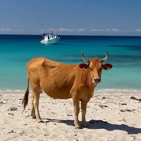 Nyaraló Balbros *